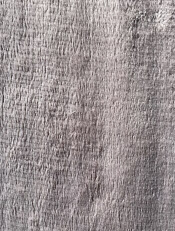 Tappeti PROMO LINGE