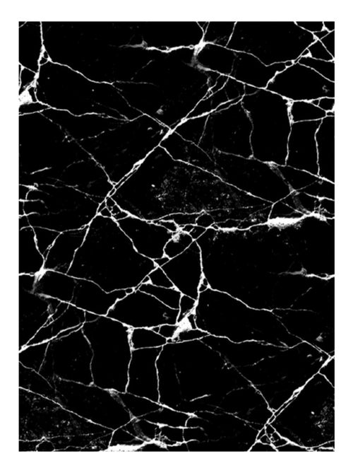 Tappeto da soggiorno MARMO - Kiabi