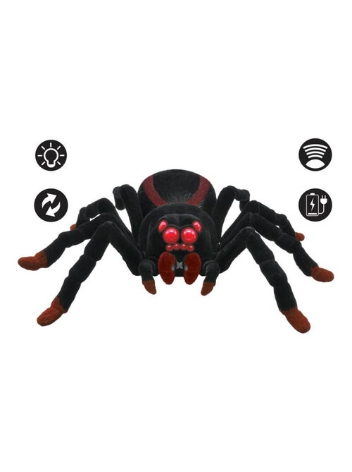 Tarantola realistica RC con effetti di luce - Kiabi