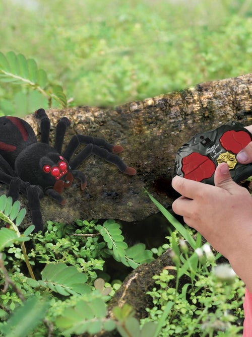 Tarantola realistica RC con effetti di luce - Kiabi