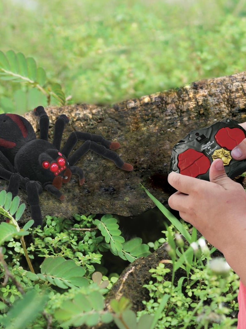 Tarantola realistica RC con effetti di luce Nero - Kiabi