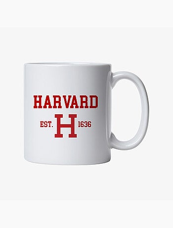 Tazza HARVARD EST 1636