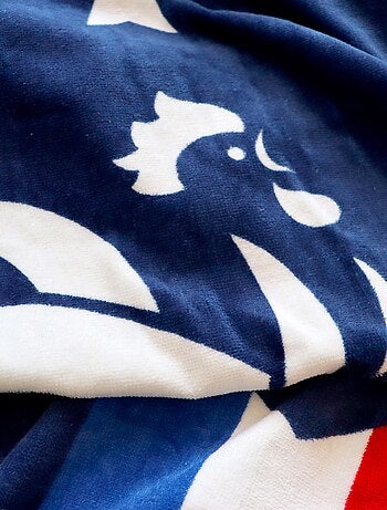 Telo mare 'Federazione Francese di Calcio'