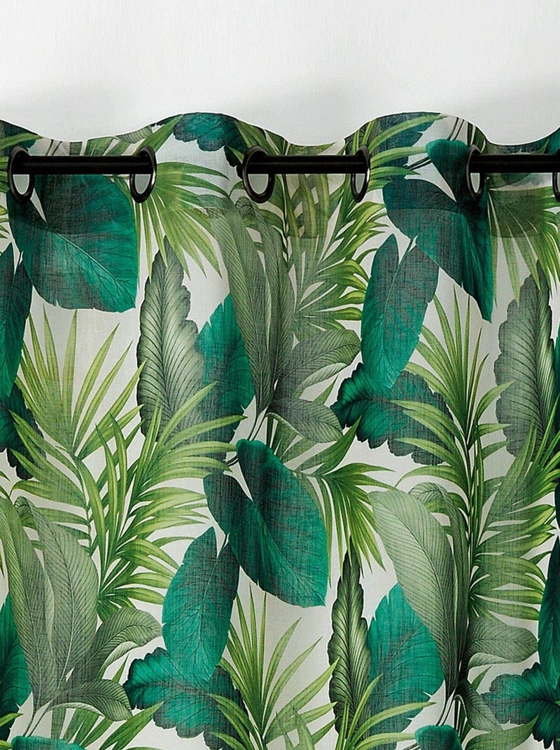 Tenda a setaccio per pecan Verde - Kiabi