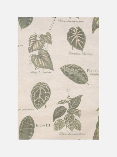 Tenda ad occhiello botanica vintage - Kiabi Tenda ad occhiello botanica vintage - Kiabi