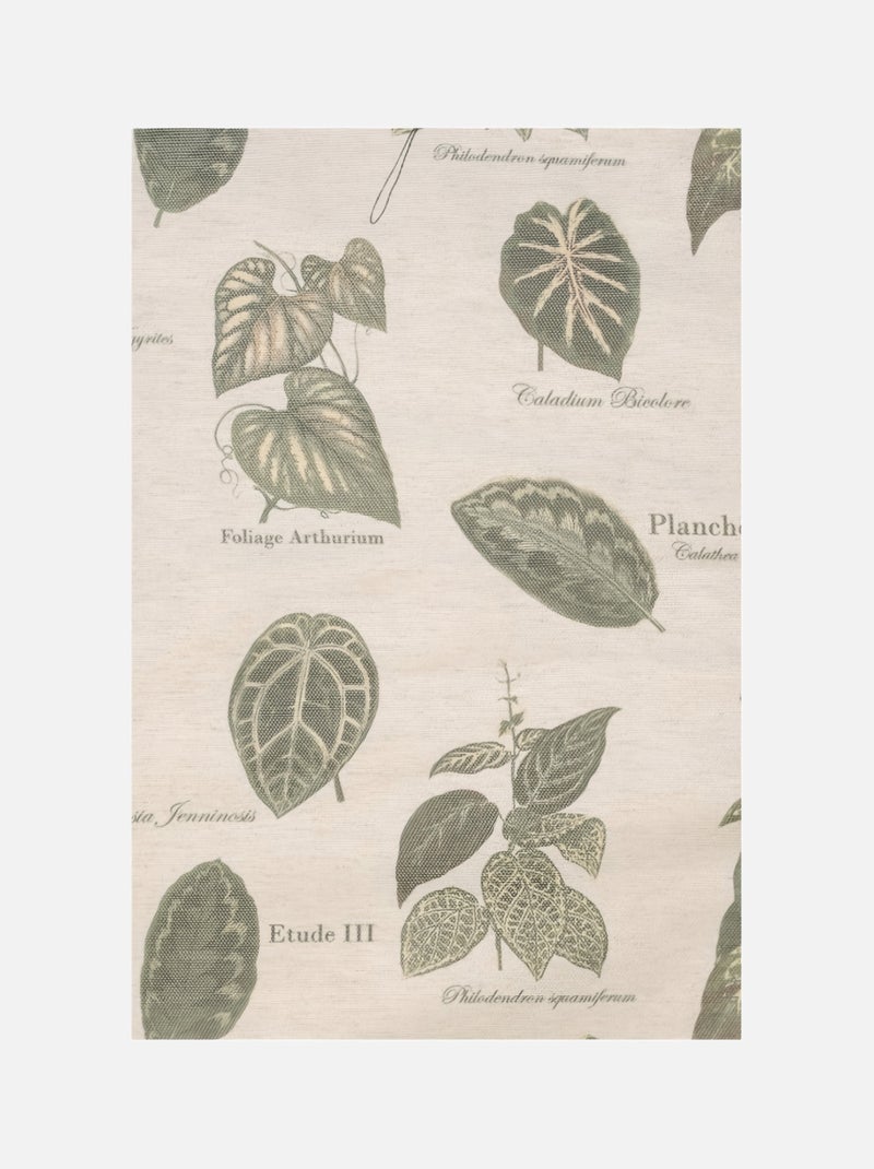 Tenda ad occhiello botanica vintage Verde - Kiabi