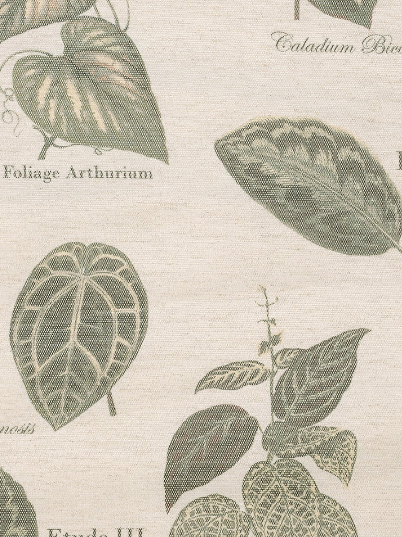 Tenda ad occhiello botanica vintage Verde - Kiabi