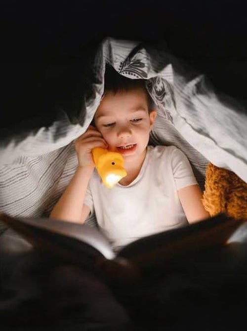 Torcia animali in silicone per bambini | Little L - Kiabi