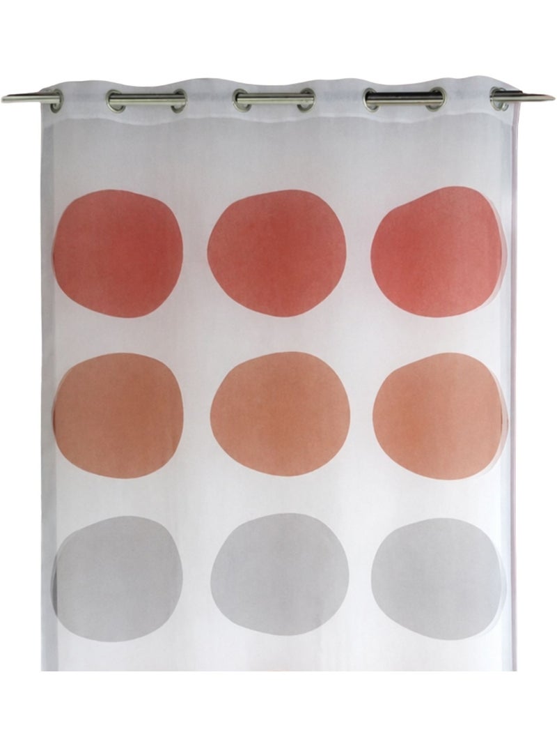 Trasparente con motivo a grandi pois Rosso mattone - Kiabi
