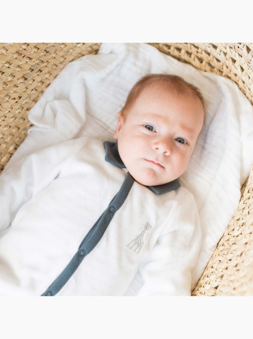 Tutina con colletto polo - Kiabi