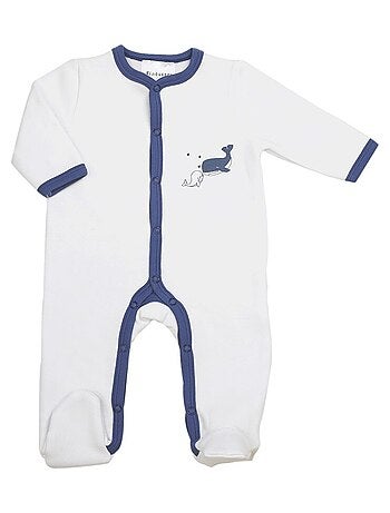 Tutina nascita balena