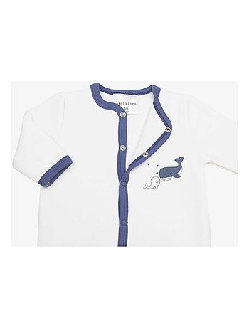 Tutina nascita balena