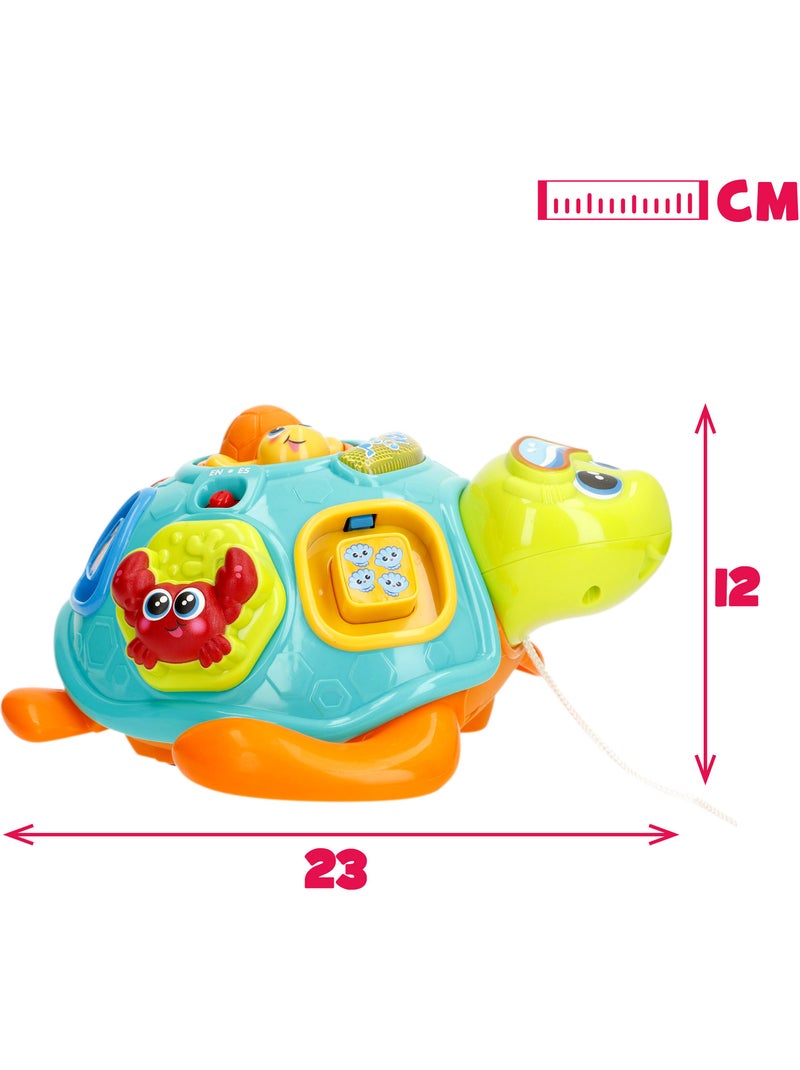 Winfun tartaruga musicale che striscia con luce e suono N/D - Kiabi